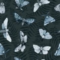 Blue night butterfly, indigo butterfly seamless pattern, wild insects, watercolor vintage illustration Royalty Free Stock Photo